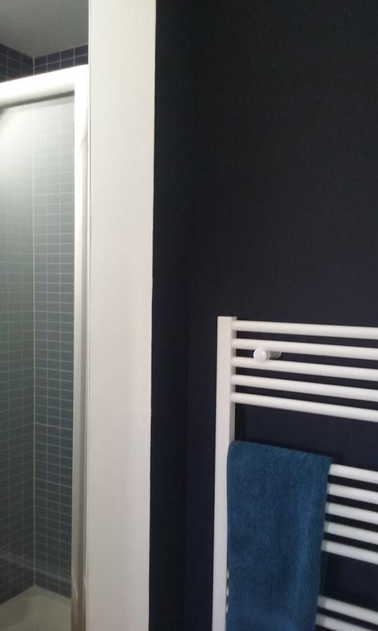 Le Bristol Appartement Canal & Chenier Canaldumidi Carcassone Kültér fotó